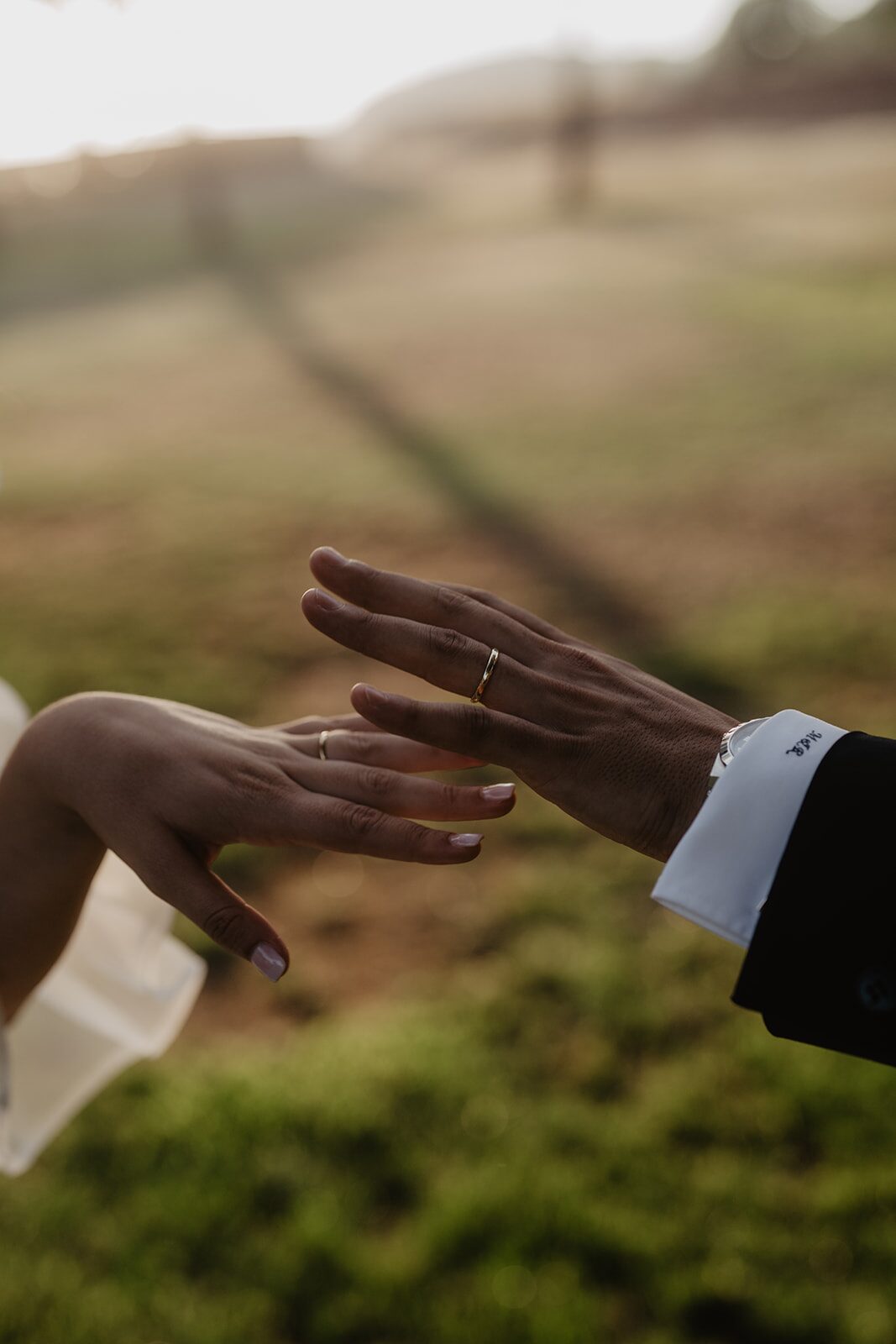 Manos de los novios con las alianzas visibles bajo la luz dorada